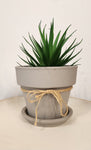 Mishique Design terracotta plant pot and saucer