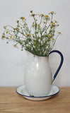 Enamel jug and plate