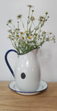 Enamel jug and plate