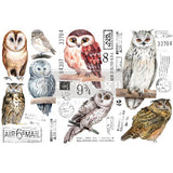 OWL – 3 SHEETS